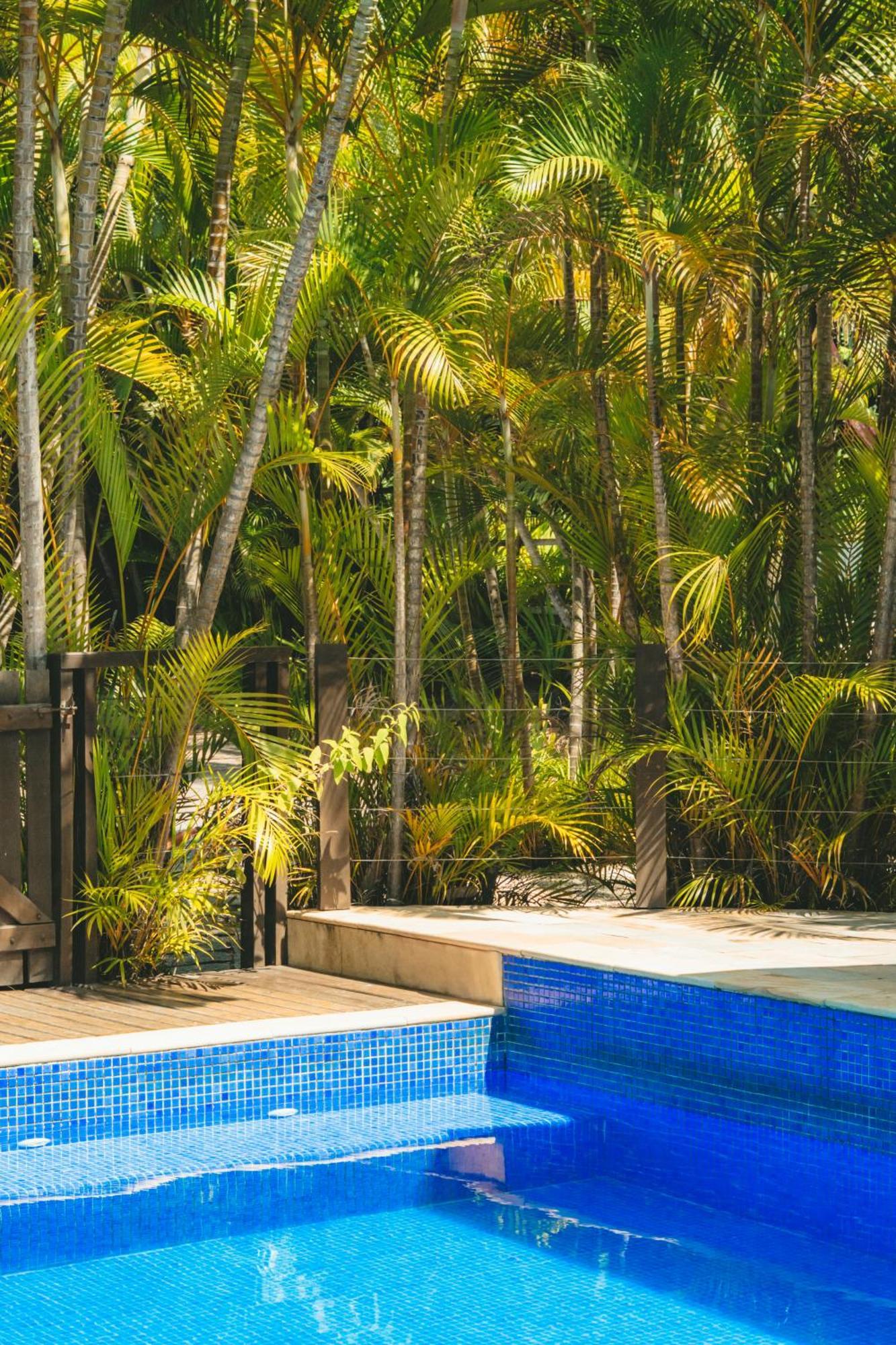 Pousada Vila Tamarindo Eco Lodge Florianópolis Exteriér fotografie